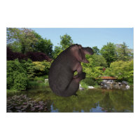 Canonball Hippo