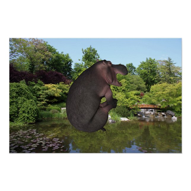 Póster Canonball Hippo (Frente)