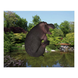 Póster Canonball Hippo