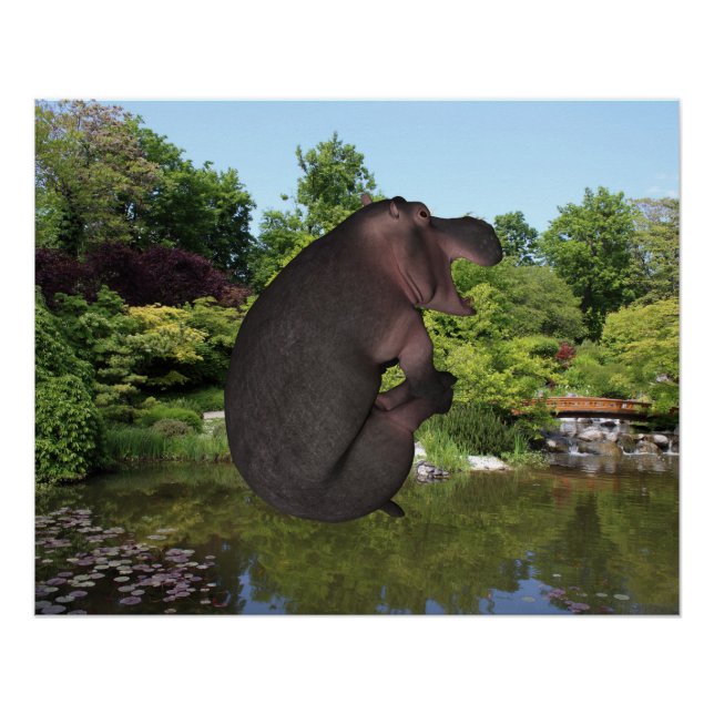 Póster Canonball Hippo (Frente)