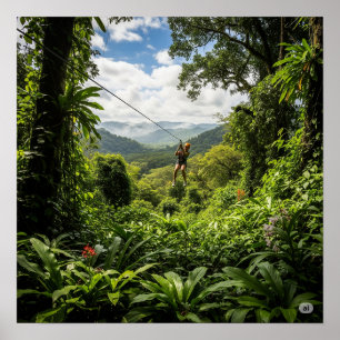 Poster Canopia da Selva de Ligação Zip