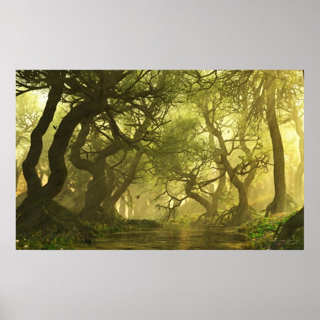 Póster Canopy Creek Primavera (Frente)