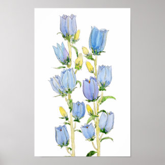 Poster Canterbury belcolorido azul e roxo