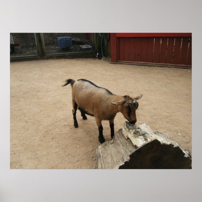 Póster Canvas 3 de abril (11) (Frente)