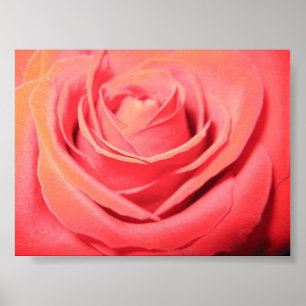 Poster Canvas cor-de-rosa bonitas