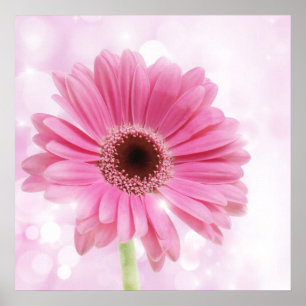 Póster Canvas cor-de-rosa da margarida
