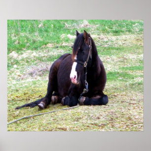 Póster Canvas de Dias Preguiçosos