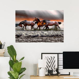 Poster Canvas de Imagens Monocromáticas de Cavalo Branco