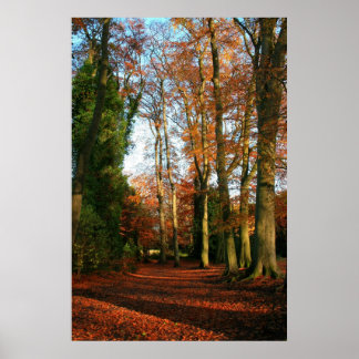 Póster Canvas de tapetes vermelhos