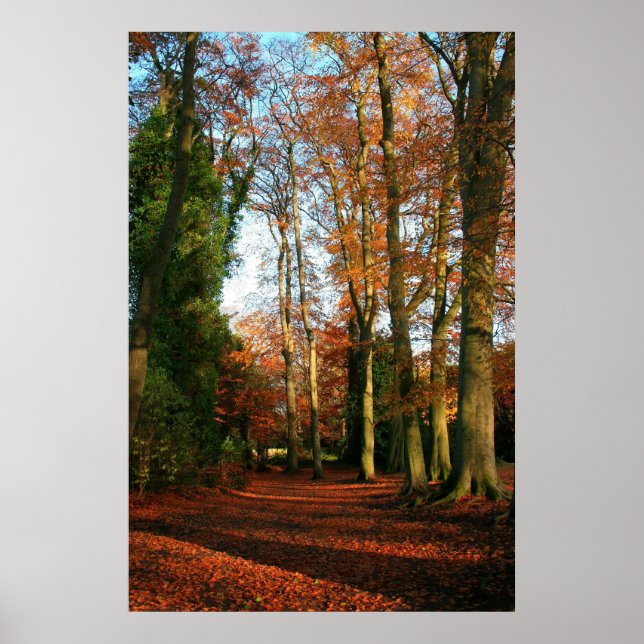 Póster Canvas de tapetes vermelhos (Frente)