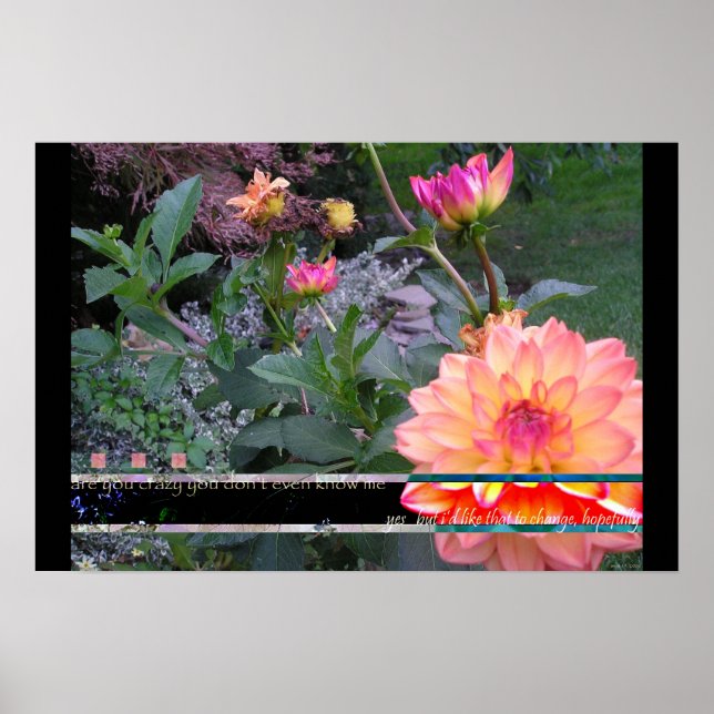 Poster Canvas derramar (Frente)