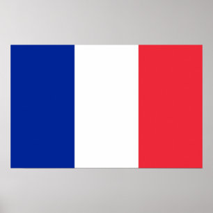 Póster Canvas impressas com sinalizador da França