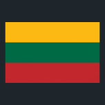 Poster Canvas impressas com sinalizador da Lituânia<br><div class="desc">Adicione uma declaração ousada de orgulho lituano à sua decoração com esta vibrante tela impressa com a bandeira da Lituânia! Mostrando o icônico tricolor do amarelo, do verde e do vermelho, esta tela de alta qualidade é um tributo notável ao rico patrimônio cultural da Lituânia. Seja exibido em sua sala...</div>