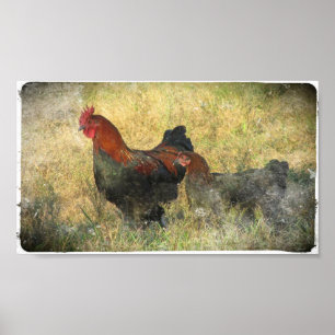 Póster Canvas Negra De Cobre Grunge Marans No Campo