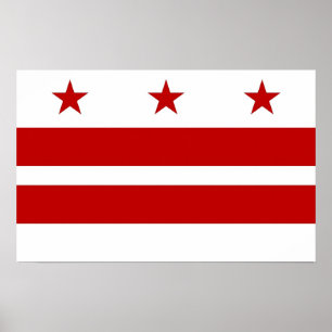 Poster Canvas Print com Flag de Washington DC, EUA