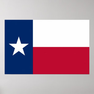 Poster Canvas Print with Flag of Texas, EUA
