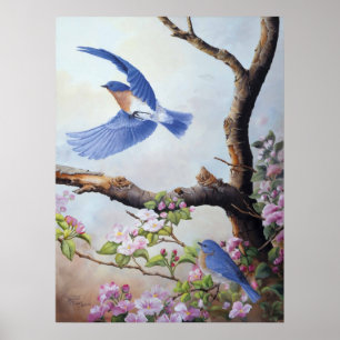 Poster Canvas UV Printes dos "Bluebirds"