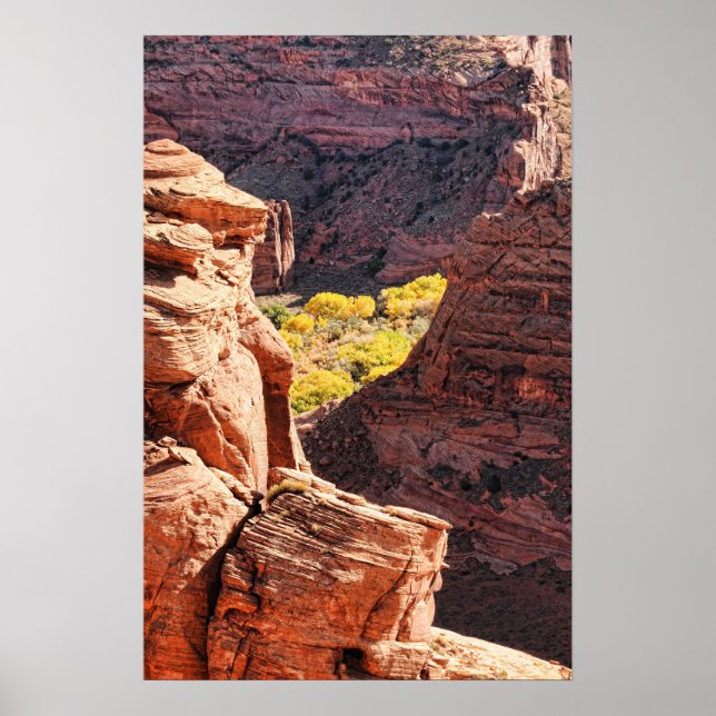 Poster Canyon de Chelly (Frente)