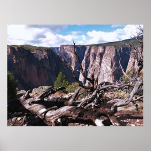 Poster Canyon Negro da Gunnison