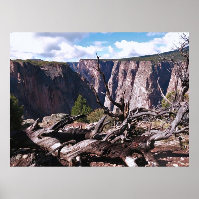 Poster Canyon Negro da Gunnison (Frente)