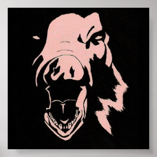 Póster Cão