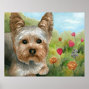 Poster Cão 117 Yorkshire