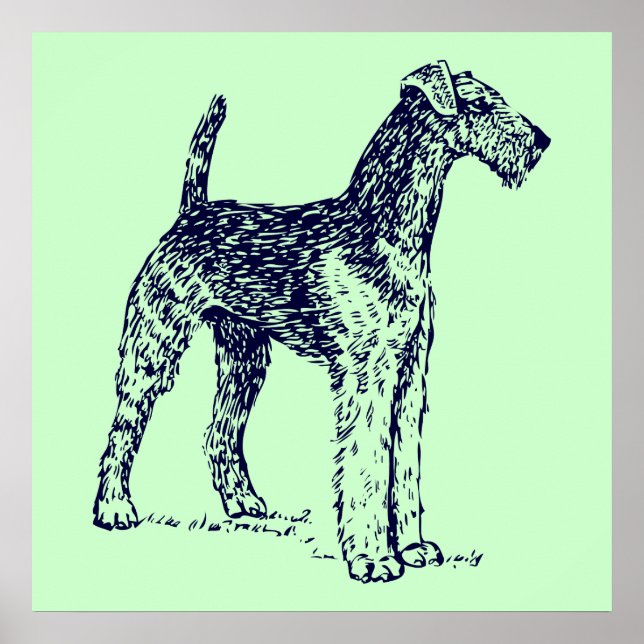 Poster Cão Airedale (Frente)