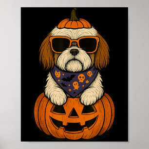 Poster Cão Assustador Shih Tzu Abóbora Dia das Bruxas Ama