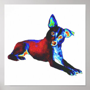 Poster Cão Azul