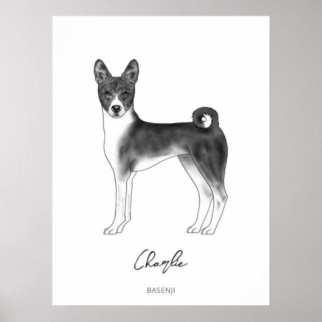 Poster Cão Basenji Preto e Branco com Texto Personalizado (Frente)