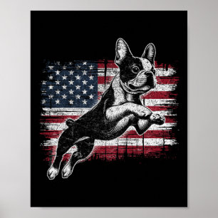 Poster Cão Boston Terrier Bandeira Americana 4 De Julho P