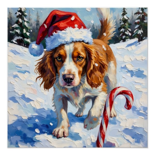 Póster Cão Brittany Spaniel Apontando para Doce de Natal (Frente)