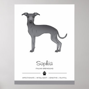 Poster Cão Cachorro De Greyhound Azul Italiano Com Texto