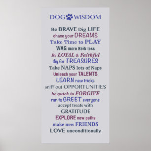 Poster Cão - Citação
