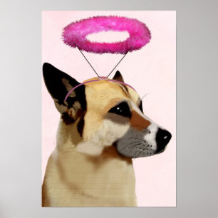 Poster Cão com Halo Rosa
