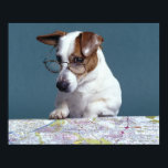 Póster Cão com óculos lendo estudando mapa<br><div class="desc">Animais->Cão</div>