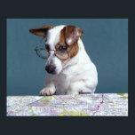 Póster Cão com óculos lendo estudando mapa<br><div class="desc">Animais->Cão</div>