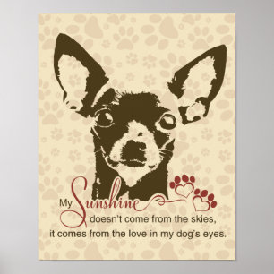 Poster Cão da chihuahua minha luz do sol