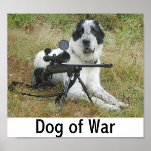 Póster Cão da guerra 2