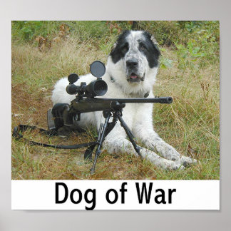 Póster Cão da Guerra 2