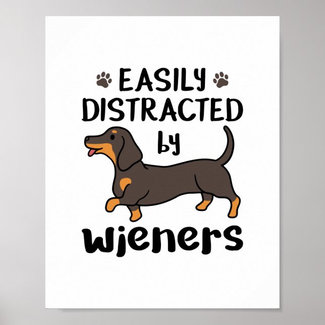 Poster Cão Dachshund facilmente distraído por saltadores (Frente)