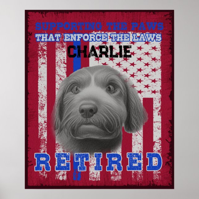 Poster Cão de Água Espanhol Trabalhador do K-9 Veterano P (Frente)