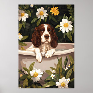 Poster Cão de Caça Springer Inglês na Banheira Poster, En