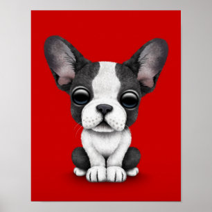 Poster Cão de filhote de cachorro bonito do buldogue