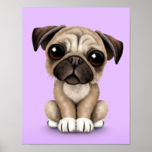 Póster Cão de filhote de cachorro bonito do Pug do bebê