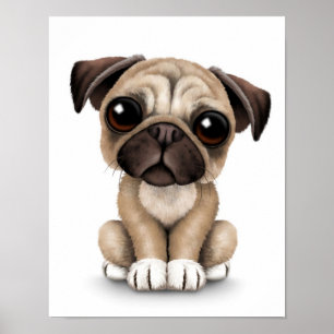 Póster Cão de filhote de cachorro bonito do Pug do bebê