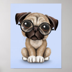 Poster Cão de filhote de cachorro bonito do Pug que vest