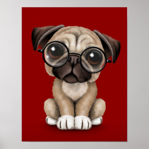 Póster Cão de filhote de cachorro bonito do Pug que vest