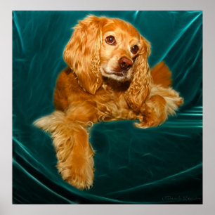 Póster Cão de filhote de cachorro de cocker spaniel