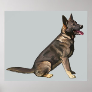 Póster Cão de german shepherd do Sable